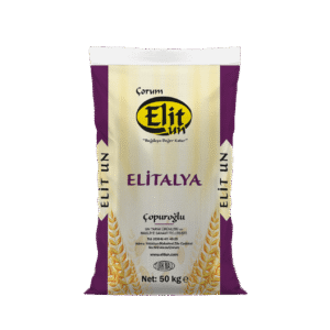 Elit Alya