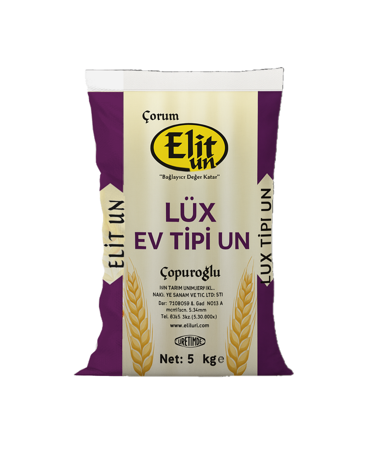 elit ev tipi 1