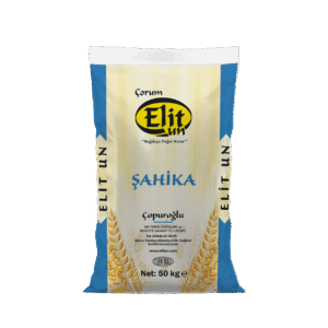 Elit Şahika